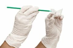 Smear Fırça Çam Uçlu