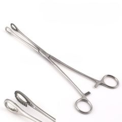 Forester Pensi Over Pensi 240 mm