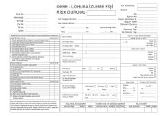 Gebe Lohusa İzleme Fişi