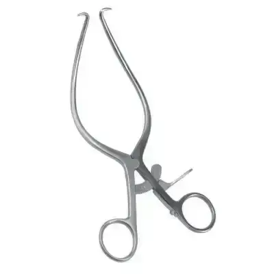 Wellson Gelpi Ekartör 17 cm